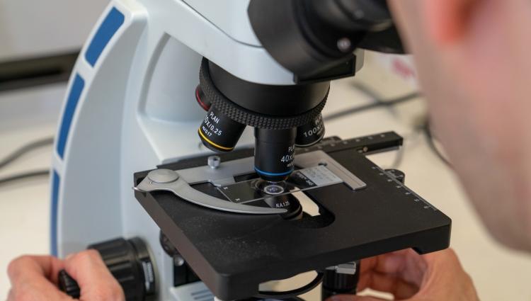 A close up of a researcher using a microscope
