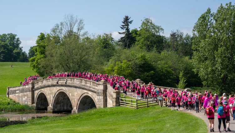 Pink Ribbon walkers, walking away over bridge
